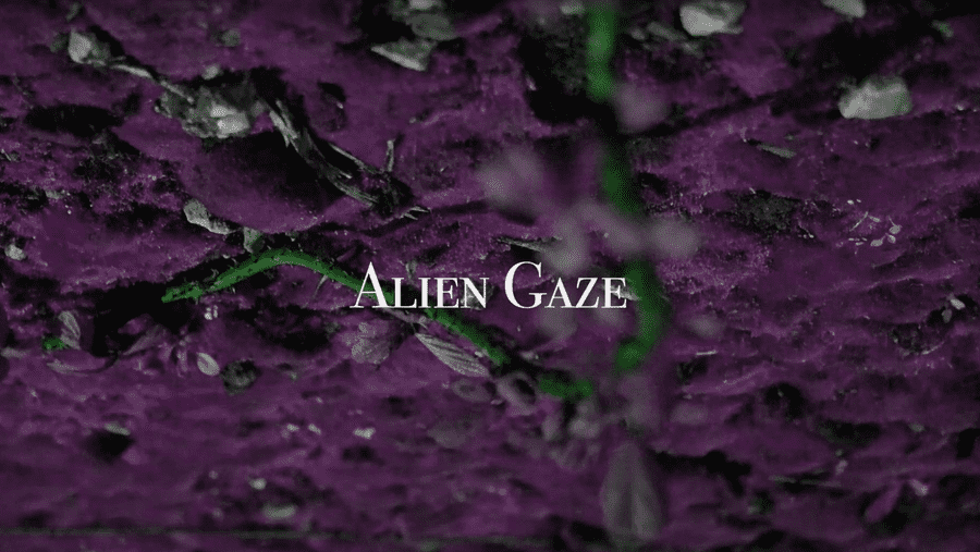 Group 1: Alien Gaze COVER
